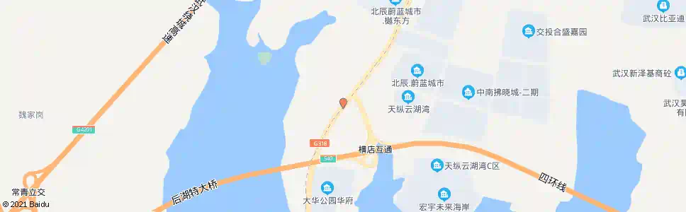 武汉川龙大道桥咀_公交站地图_武汉公交_妙搜公交查询2024